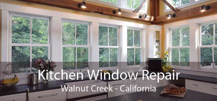 Kitchen Window Repair Walnut Creek - California