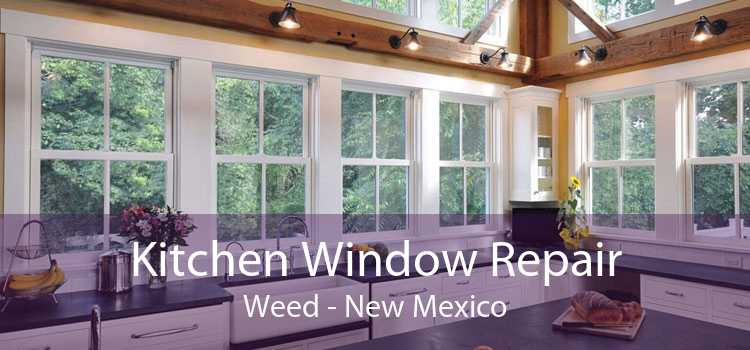 Kitchen Window Repair Weed - New Mexico