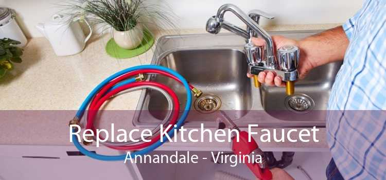 Replace Kitchen Faucet Annandale - Virginia