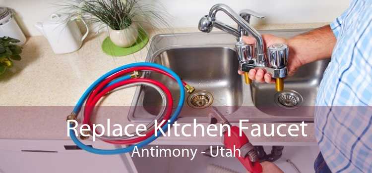 Replace Kitchen Faucet Antimony - Utah