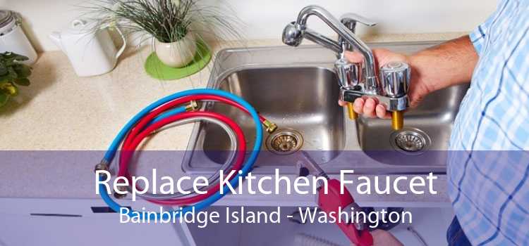 Replace Kitchen Faucet Bainbridge Island - Washington