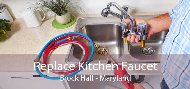 Replace Kitchen Faucet Brock Hall - Maryland