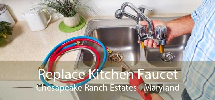 Replace Kitchen Faucet Chesapeake Ranch Estates - Maryland