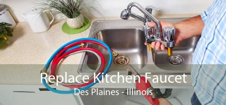 Replace Kitchen Faucet Des Plaines - Illinois