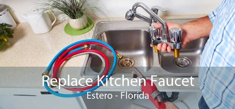 Replace Kitchen Faucet Estero - Florida