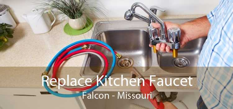Replace Kitchen Faucet Falcon - Missouri