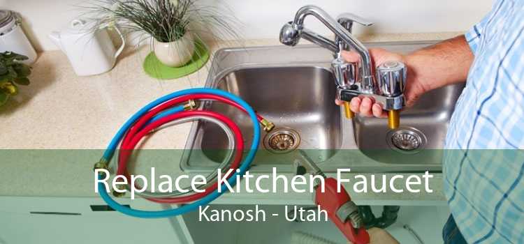 Replace Kitchen Faucet Kanosh - Utah