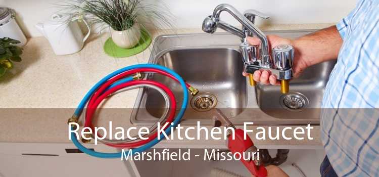 Replace Kitchen Faucet Marshfield - Missouri