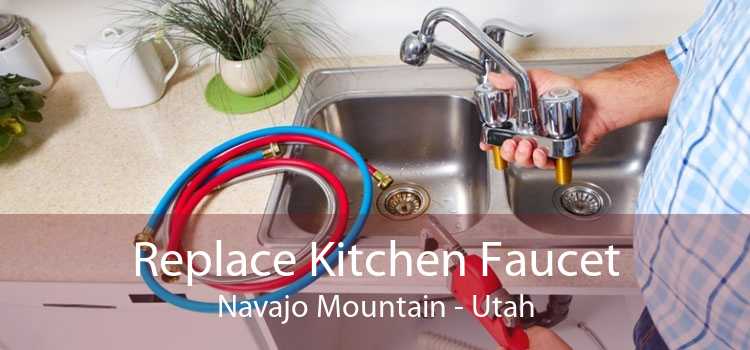 Replace Kitchen Faucet Navajo Mountain - Utah