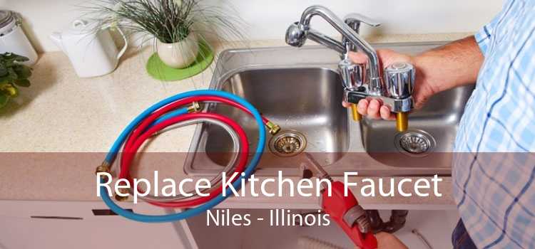 Replace Kitchen Faucet Niles - Illinois
