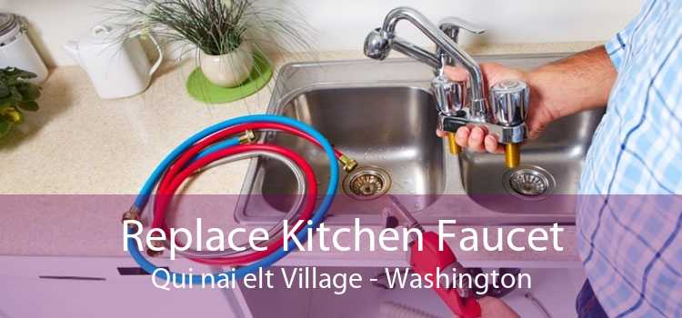 Replace Kitchen Faucet Qui nai elt Village - Washington