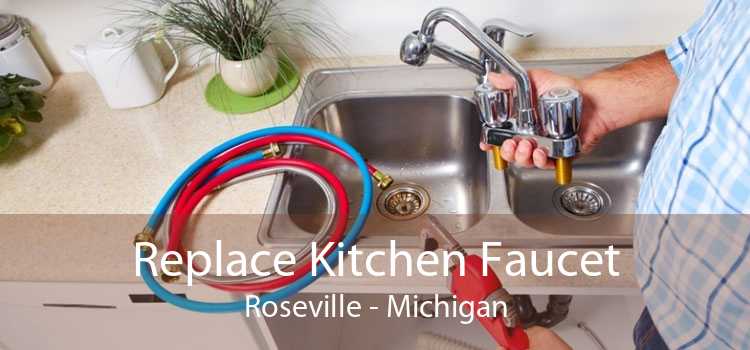 Replace Kitchen Faucet Roseville - Michigan