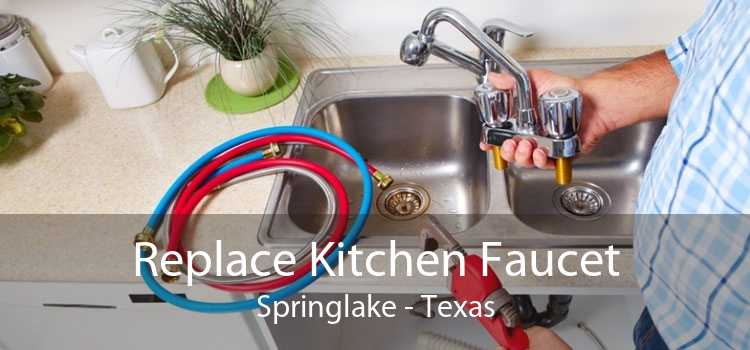 Replace Kitchen Faucet Springlake - Texas