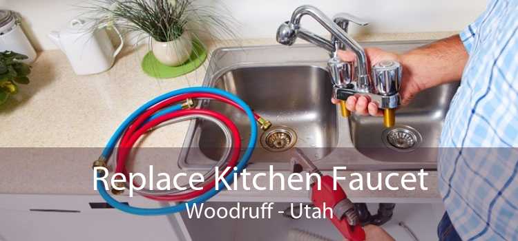 Replace Kitchen Faucet Woodruff - Utah