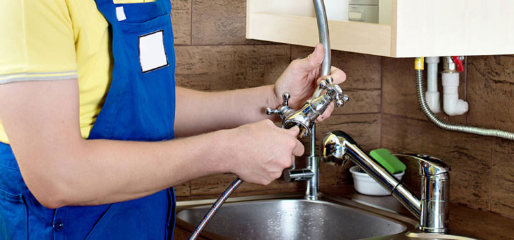 Kitchen Faucet With Sprayer Replacement in Airport Heights